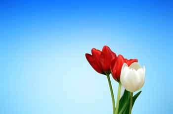 替您把关风险的电话短信轰在线轰炸免费