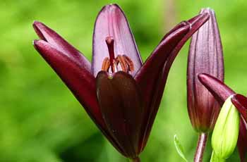 打爆别人手机号的软件