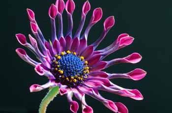 免费短信电话轰炸机