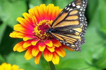 电话轰在线轰炸平台自助下单