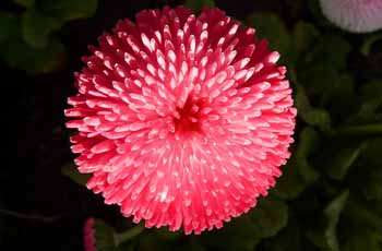 可以留电话的骚扰网站