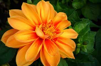 短信测试网站免费