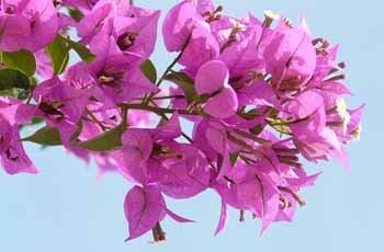 高级功能免费的手机在线轰炸