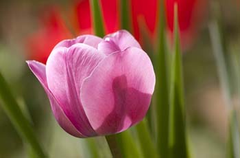 短信测试网站免费