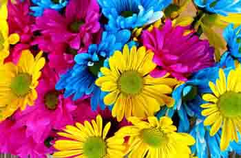 可以留电话的骚扰网站