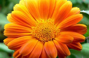 短信压力测试破解版